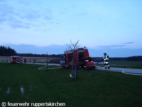 DSC00453.JPG